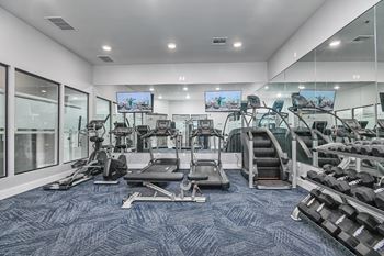 a gym with cardio machines and weights on a blue rug
